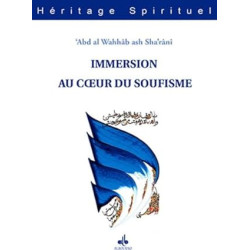 IMMERSION AU COEUR DU SOUFISME